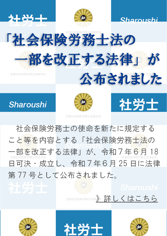 第９次法改正